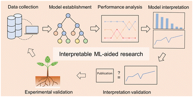 Graphical abstract: Interpretable machine learning for investigating complex nanomaterial–plant–soil interactions
