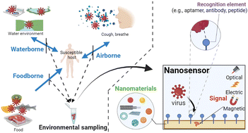 Graphical abstract: Environmental routes of virus transmission and the application of nanomaterial-based sensors for virus detection