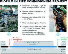Graphical abstract: Effects of early biofilm formation on water quality during commissioning of new polyethylene pipes