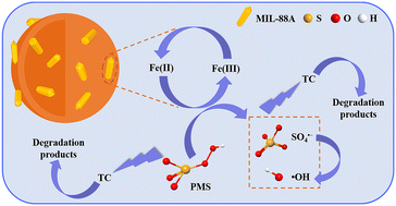 Graphical abstract: 3D micro–meso-structured iron-based hybrid for peroxymonosulfate activation: performance, mechanism and comprehensive practical application potential evaluation