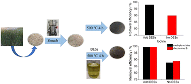Graphical abstract: Novel reed + deep eutectic solvent-derived adsorbents for recyclable and low-cost capture of dyes and radioactive iodine from wastewater