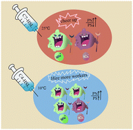 Graphical abstract: Effects of different N-acyl homoserine lactones on the performance of high ammonia nitrogen wastewater treatment: a bioaugmentation strategy at room and low temperature