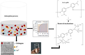 Graphical abstract: Synthesis of Fe3+/Ce3+-doped poly(para-phenylenediamine) adsorbents and their application in the removal of fluorides, arsenites and pathogens from water