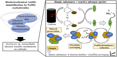 Graphical abstract: Anaerobic dissolved As(iii) removal from metal-polluted waters by cathode-stabilized Fe(iii)-oxyhydroxides
