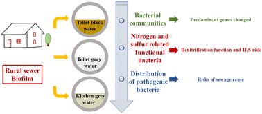 Graphical abstract: Distinction of biofilm bacterial communities in practical rural sewers under different sewage sources