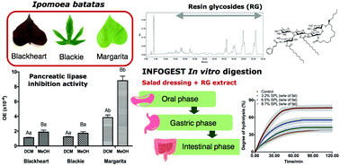 Graphical abstract: Resin glycosides in aerial parts of Ipomoea batatas are potent lipase inhibitors: potential upcycling of sweet potato by-products to combat obesity