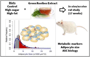 Graphical abstract: The effects of a green Rooibos (Aspalathus linearis) extract on metabolic parameters and adipose tissue biology in rats fed different obesogenic diets