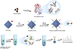 Graphical abstract: Efficient discovery of potent α-glucosidase inhibitors from Paeoniae lactiflora using enzyme–MOF nanocomposites and competitive indicators