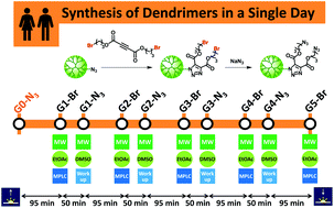 Graphical abstract: Accelerated synthesis of dendrimers by thermal azide–alkyne cycloaddition with internal alkynes