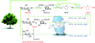 Graphical abstract: Highly selective one-pot production of 2,5-furandimethanol from saccharides