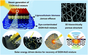 Graphical abstract: A highly efficient and stable solar energy-driven device using lignocellulosic biomass Juncus effusus for the recovery of ethanol–water mixture