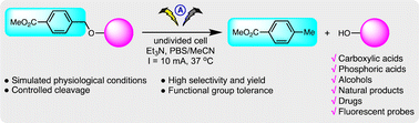 Graphical abstract: New electrotriggers: p-methoxycarbonylbenzyl (pMCB) as an electroremovable protecting group for carboxylic acids, phosphoric acids and alcohols