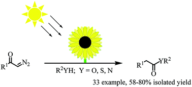 Graphical abstract: A solar tracker integrated microreactor for real-time sunlight induced ketene formation and API synthesis