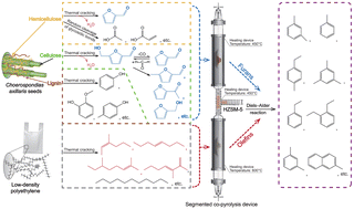 Graphical abstract: Production of monocyclic aromatic hydrocarbons by segmented in situ and ex situ two-stage coupled catalytic co-pyrolysis of biomass and waste plastics