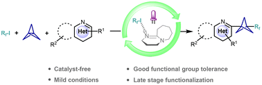 Graphical abstract: Synthesis of 1-perfluoroalkyl-3-heteroaryl bicyclo[1.1.1]pentanes via visible light-induced and metal-free perfluoroalkylation of [1.1.1]propellane