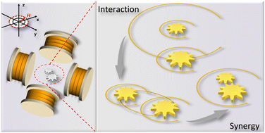 Graphical abstract: Interactive and synergistic behaviours of multiple heterogeneous microrobots