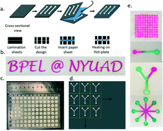 Graphical abstract: Rapid and inexpensive process to fabricate paper based microfluidic devices using a cut and heat plastic lamination process