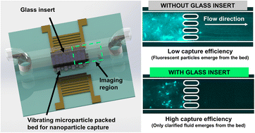 Graphical abstract: Glass-embedded PDMS microfluidic device for enhanced concentration of nanoparticles using an ultrasonic nanosieve