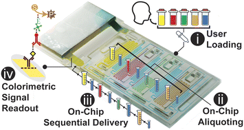 Graphical abstract: 3D-printed capillaric ELISA-on-a-chip with aliquoting