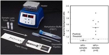Graphical abstract: A low-cost, paper-based hybrid capture assay to detect high-risk HPV DNA for cervical cancer screening in low-resource settings
