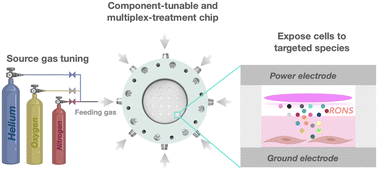 Graphical abstract: A composition-tunable cold atmospheric plasma chip for multiplex-treatment of cells