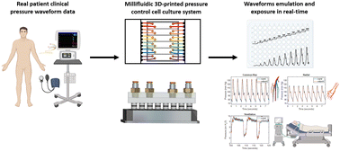 Graphical abstract: Emulating clinical pressure waveforms in cell culture using an Arduino-controlled millifluidic 3D-printed platform for 96-well plates