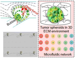 Graphical abstract: Convenient tumor 3D spheroid arrays manufacturing via acoustic excited bubbles for in situ drug screening