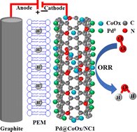 Graphical abstract: The pronounced effect of cobalt oxide on the electrocatalytic activity of palladium nanoparticles anchored on CoOx/NC towards the ORR with increased MA and ECSA