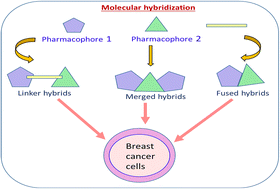 Graphical abstract: Therapeutic significance of molecular hybrids for breast cancer research and treatment