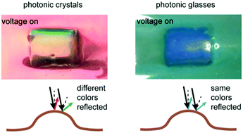 Graphical abstract: Voltage-tunable elastomer composites that use shape instabilities for rapid structural color changes