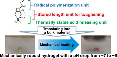 Graphical abstract: Strain-triggered acidification in a double-network hydrogel enabled by multi-functional transduction of molecular mechanochemistry