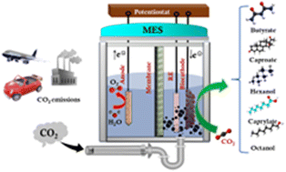 Graphical abstract: Microbial electrosynthesis: carbonaceous electrode materials for CO2 conversion
