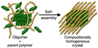 Graphical abstract: Oligoaniline-assisted self-assembly of polyaniline crystals