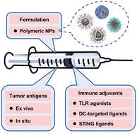 Graphical abstract: Polymeric nanoparticle-based nanovaccines for cancer immunotherapy