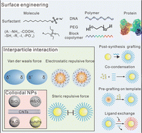 Graphical abstract: Surface engineering of colloidal nanoparticles