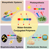 Graphical abstract: Water-soluble conjugated polymers for bioelectronic systems
