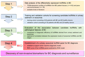 Graphical abstract: Comparative evaluation of long non-coding RNA-based biomarkers in the urinary sediment and urinary exosomes for non-invasive diagnosis of bladder cancer