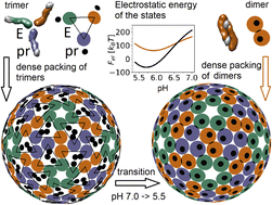 Graphical abstract: Packing and trimer-to-dimer protein reconstruction in icosahedral viral shells with a single type of symmetrical structural unit