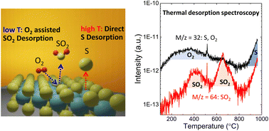 Graphical abstract: Experimental verification of SO2 and S desorption contributing to defect formation in MoS2 by thermal desorption spectroscopy