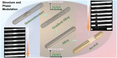 Graphical abstract: Revealing the alloying and dealloying behaviours in AuAg nanorods by thermal stimulus