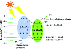 Graphical abstract: Enhanced visible light photocatalytic activity of the needle-like SrMoO4 decorated g-C3N4 heterostructure for degradation of tetracycline