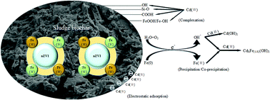 Graphical abstract: Effective removal of Cd(ii) by sludge biochar supported nanoscale zero-valent iron from aqueous solution: characterization, adsorption properties and mechanism