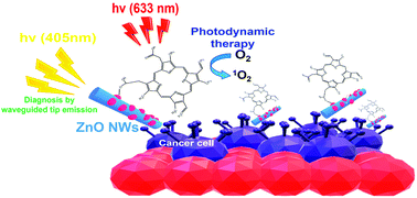Graphical abstract: Porphyrin-decorated ZnO nanowires as nanoscopic injectors for phototheragnosis of cancer cells