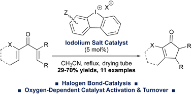 Graphical abstract: Iodolium salts as halogen-bond donor catalysts in the Nazarov cyclization: the molecular oxygen enigma