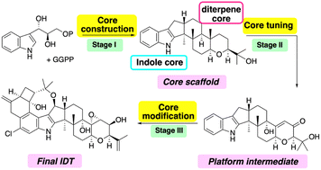 Graphical abstract: Biosynthesis of indole diterpenes: a reconstitution approach in a heterologous host