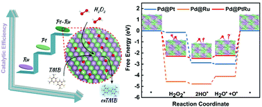 Graphical abstract: Maximizing the peroxidase-like activity of Pd@PtxRu4−x nanocubes by precisely controlling the shell thickness and their application in colorimetric biosensors