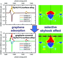 Graphical abstract: Tailoring magnetic anisotropy by graphene-induced selective skyhook effect on 4f-metals