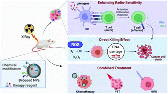 Graphical abstract: Tailoring bismuth-based nanoparticles for enhanced radiosensitivity in cancer therapy