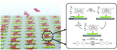 Graphical abstract: De novo designed peptides form a highly catalytic ordered nanoarchitecture on a graphite surface