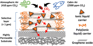 Graphical abstract: Facilitated transport membrane with functionalized ionic liquid carriers for CO2/N2, CO2/O2, and CO2/air separations